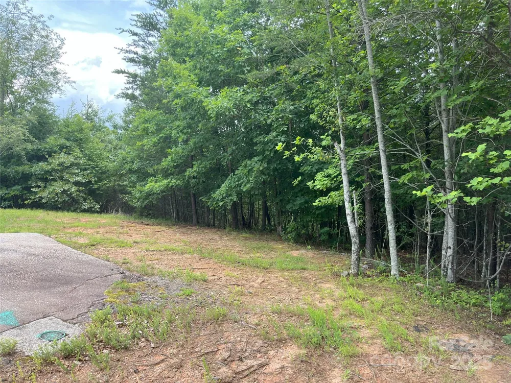 00 Deep Gap Road E #59 Mill Spring, NC 28756