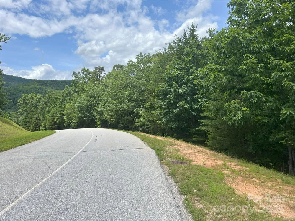 00 Deep Gap Road E #59 Mill Spring, NC 28756