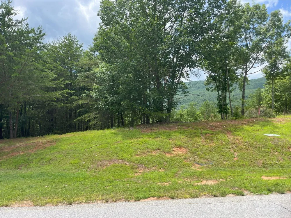 00 Deep Gap Road E #59 Mill Spring, NC 28756
