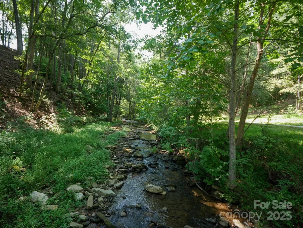 00 Deep Gap Road E #59 Mill Spring, NC 28756