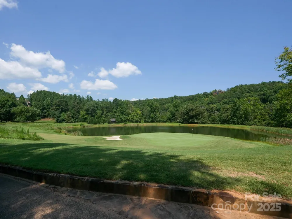 00 Deep Gap Road E #59 Mill Spring, NC 28756