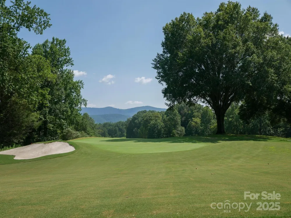 00 Deep Gap Road E #59 Mill Spring, NC 28756
