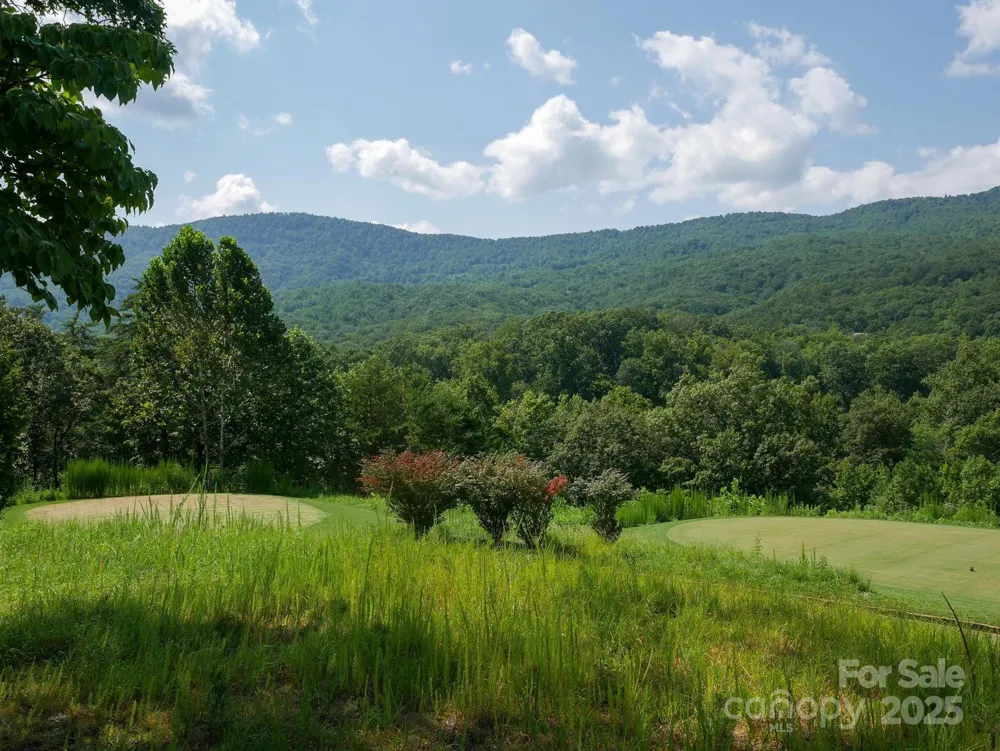 00 Deep Gap Road E #59 Mill Spring, NC 28756