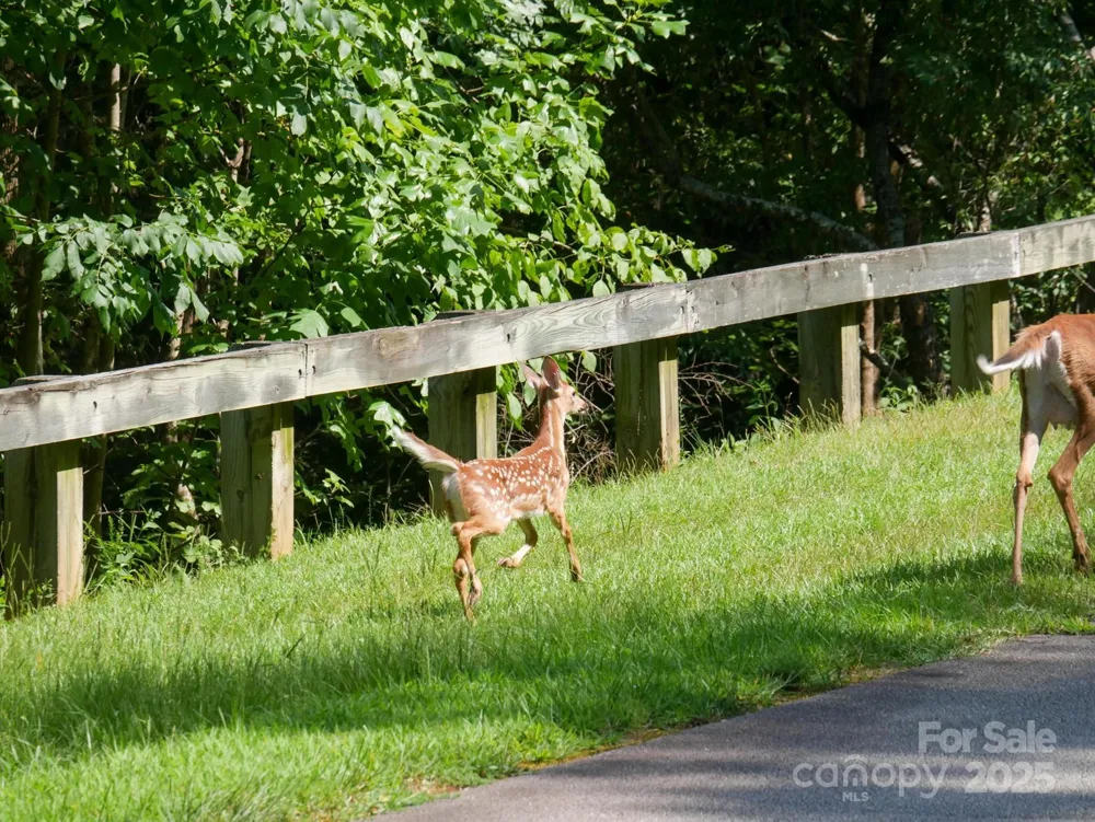00 Deep Gap Road E #59 Mill Spring, NC 28756