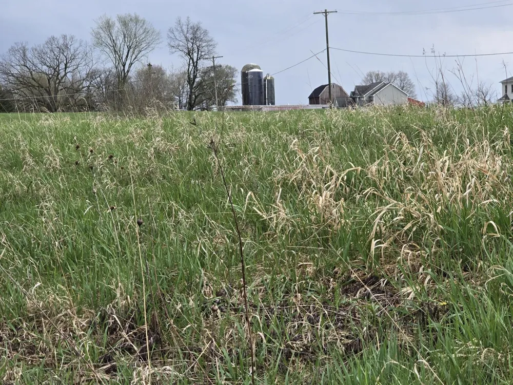 6336 Mast Road Dexter, MI 48130