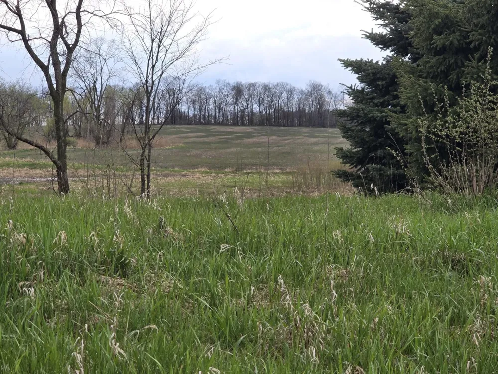 6336 Mast Road Dexter, MI 48130
