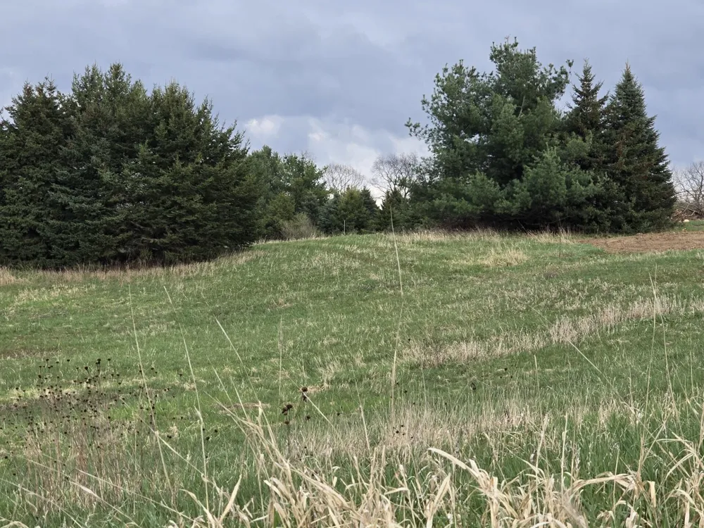 6336 Mast Road Dexter, MI 48130