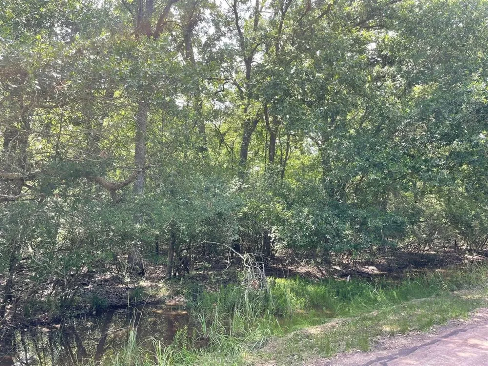 County Road 750 Thornton, TX 76687