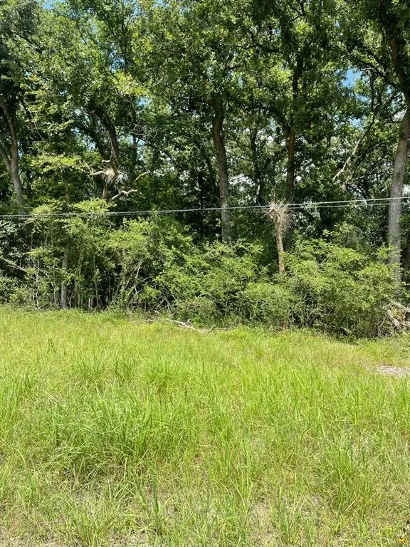 County Road 750 Thornton, TX 76687