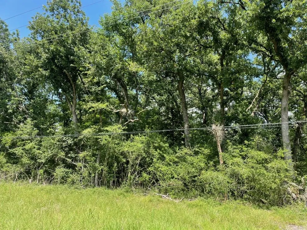 County Road 750 Thornton, TX 76687