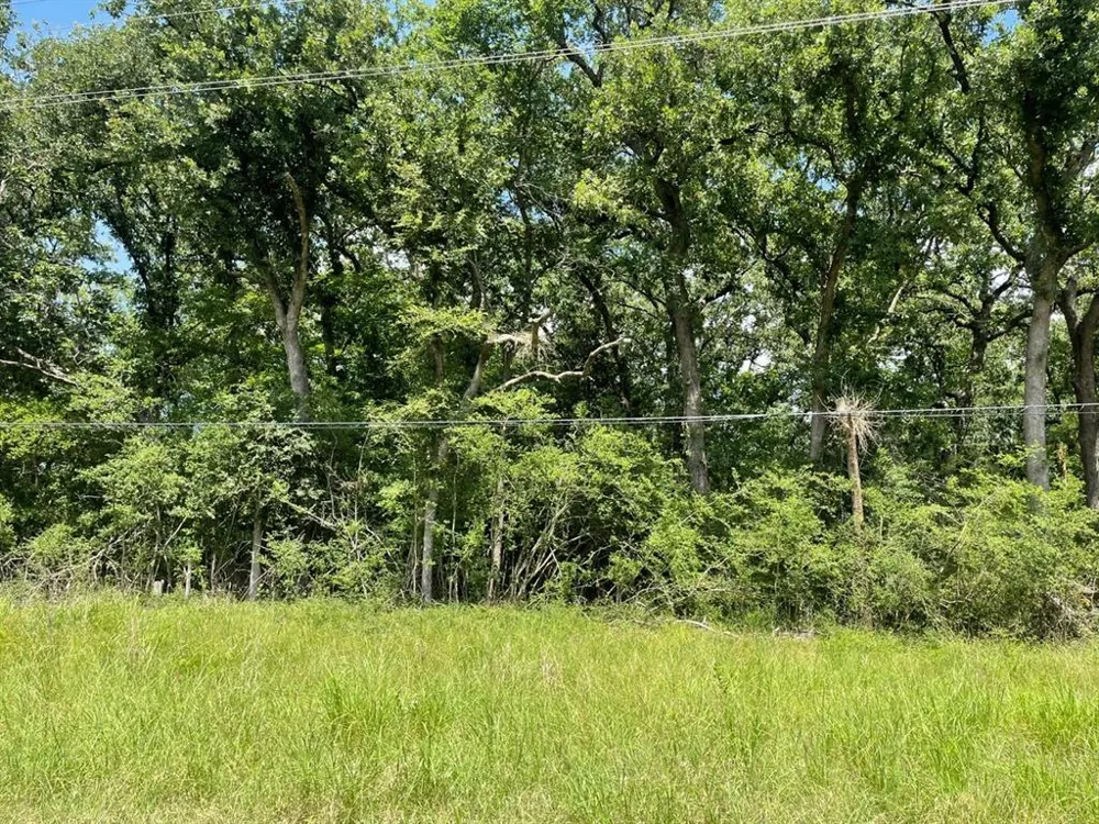County Road 750 Thornton, TX 76687