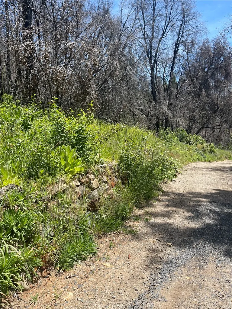 180 Mirage Lake Road Berry Creek, CA 95916