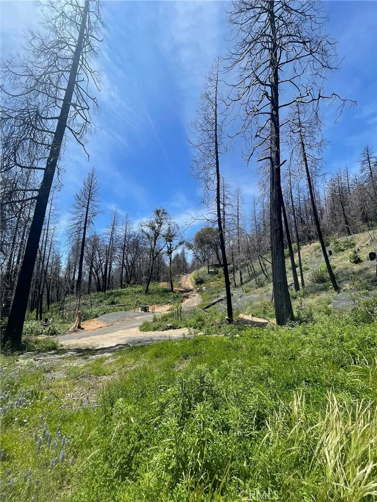 180 Mirage Lake Road Berry Creek, CA 95916