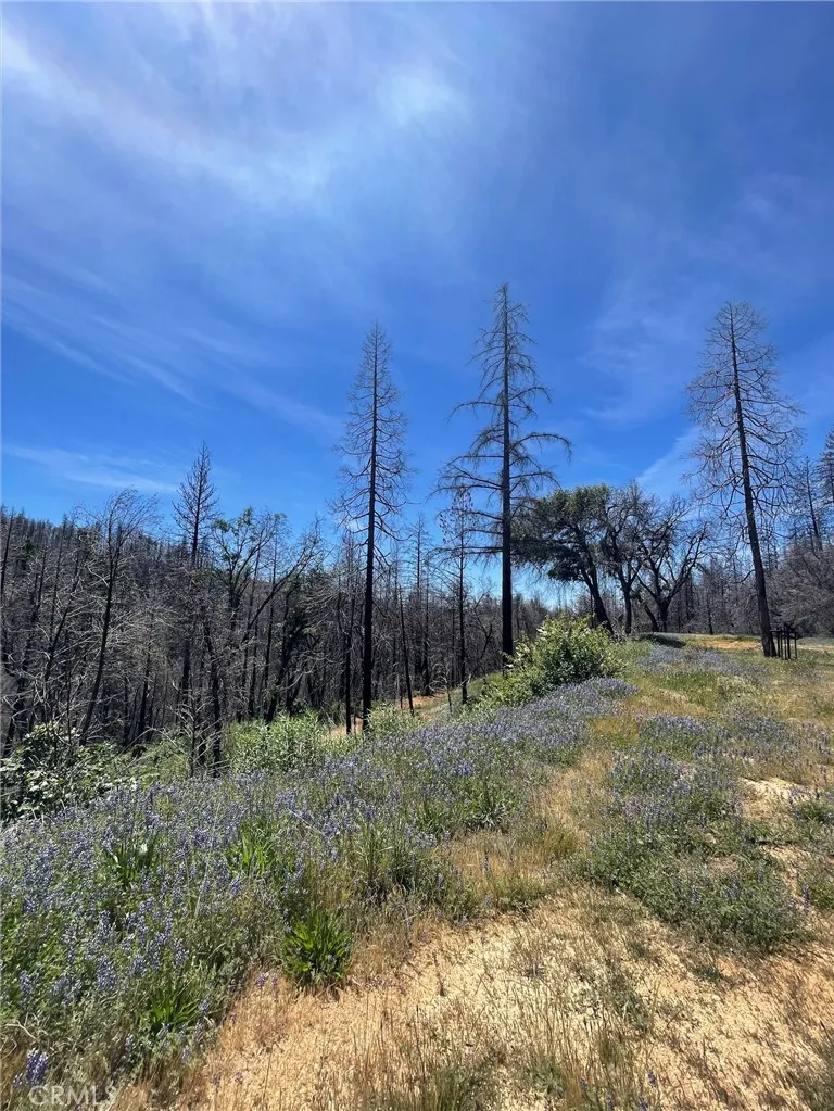180 Mirage Lake Road Berry Creek, CA 95916