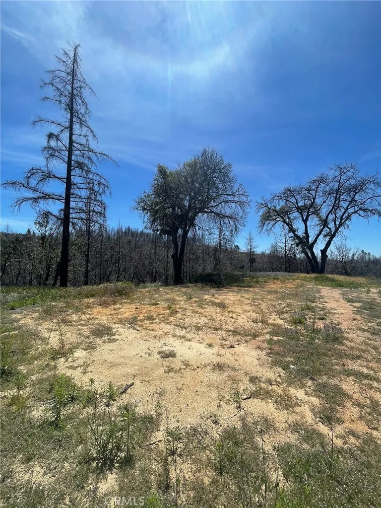 180 Mirage Lake Road Berry Creek, CA 95916