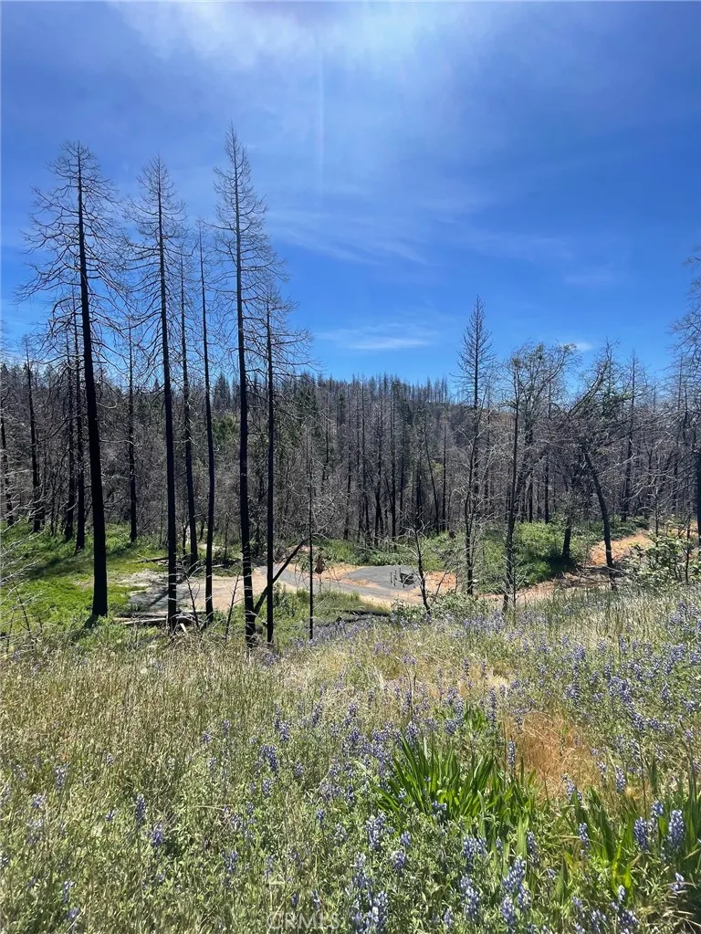 180 Mirage Lake Road Berry Creek, CA 95916