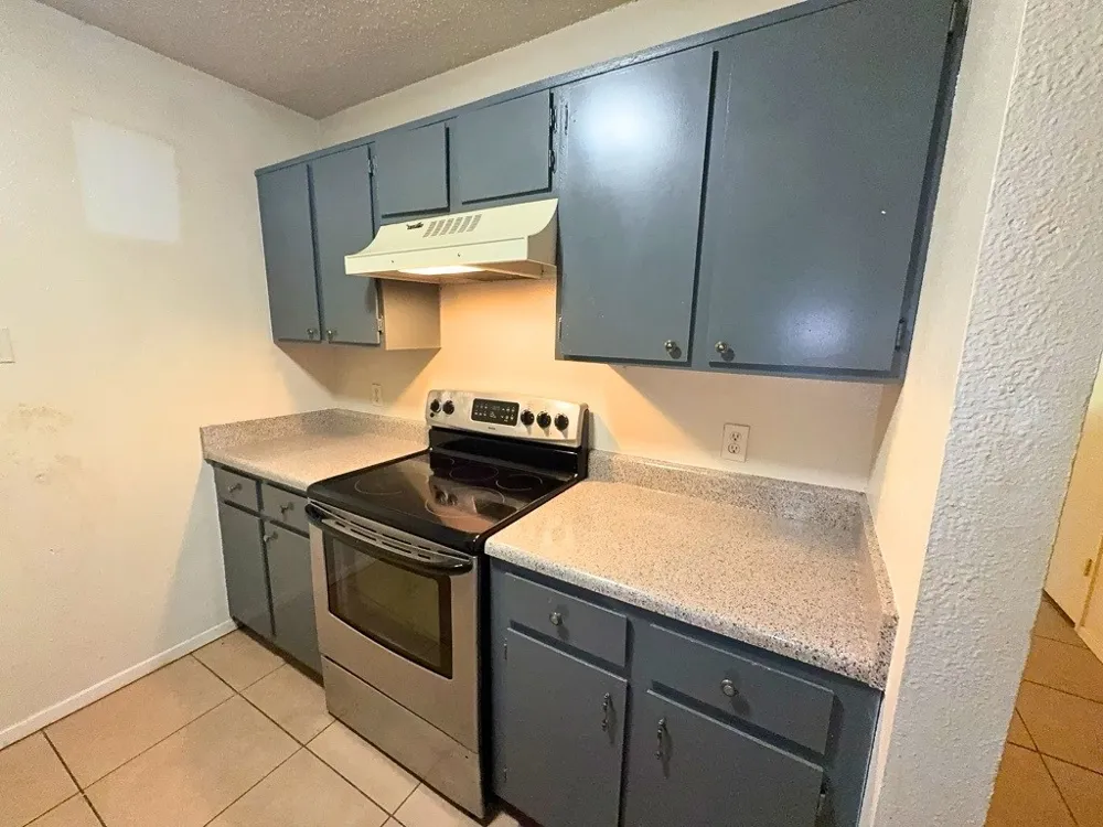 219 Fry Street #1 Denton, TX 76201