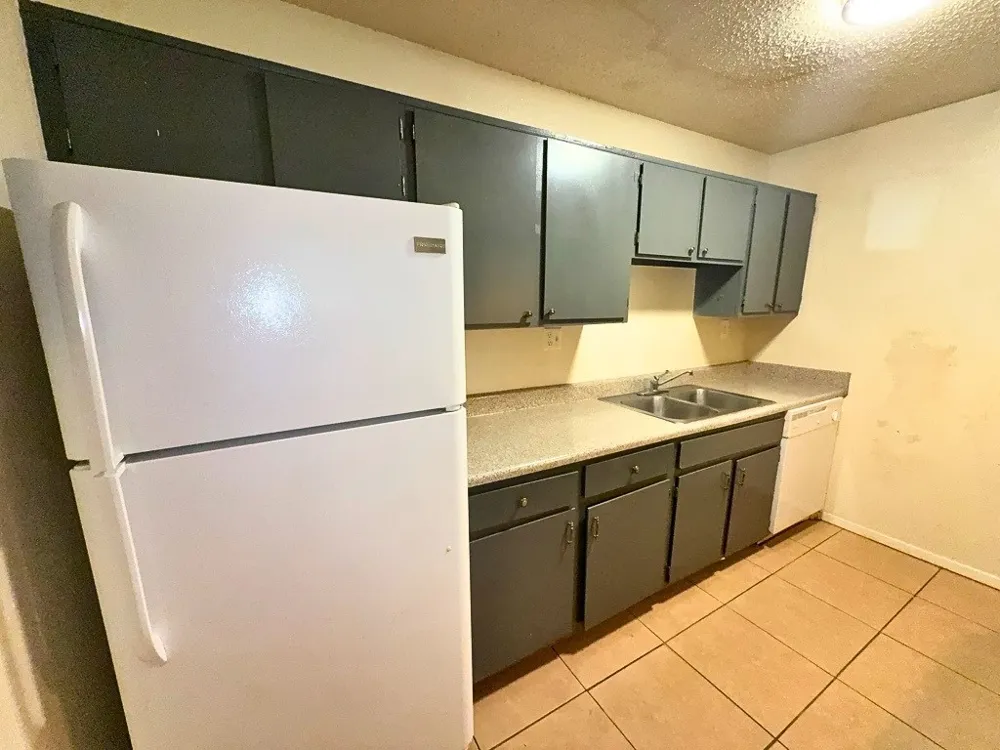 219 Fry Street #1 Denton, TX 76201