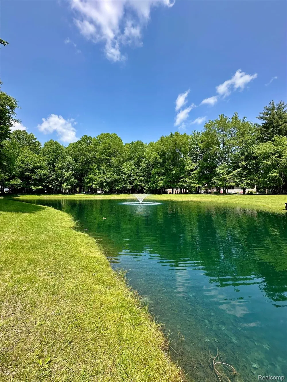 3408 Burwick Drive Port Huron Charter Township, MI 48060