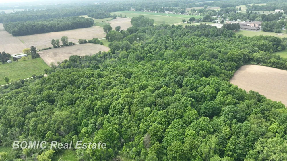 Fulmer Road Millington Village, MI 48746