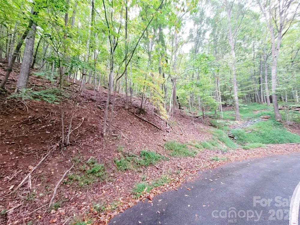 47 Sourwood Drive #197 Mills River, NC 28759