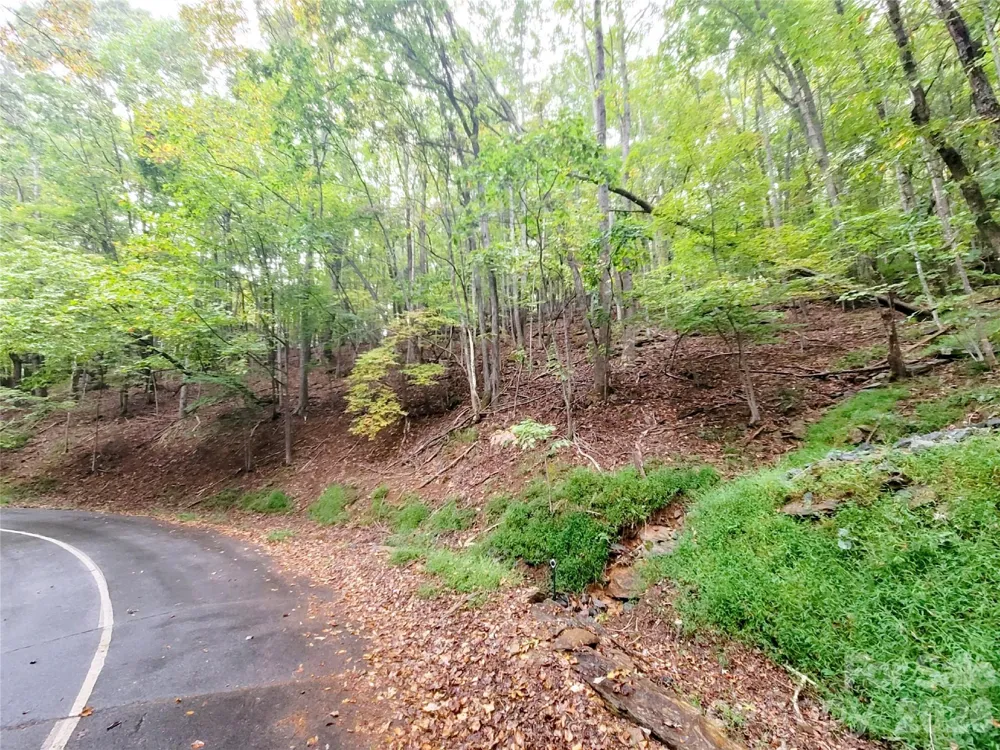 47 Sourwood Drive #197 Mills River, NC 28759