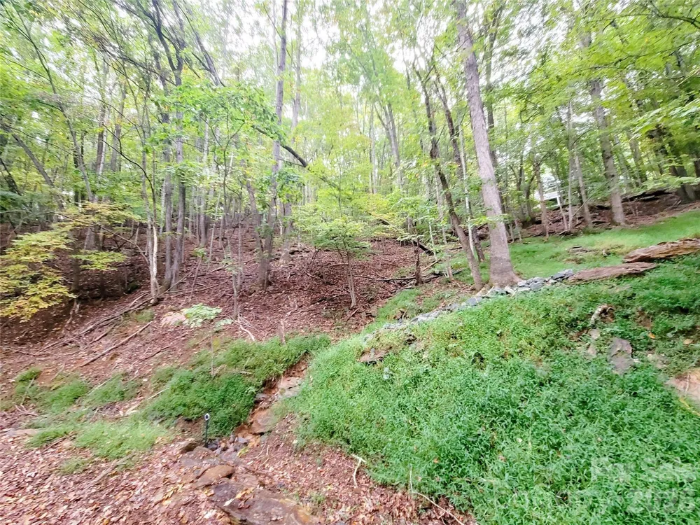 47 Sourwood Drive #197 Mills River, NC 28759