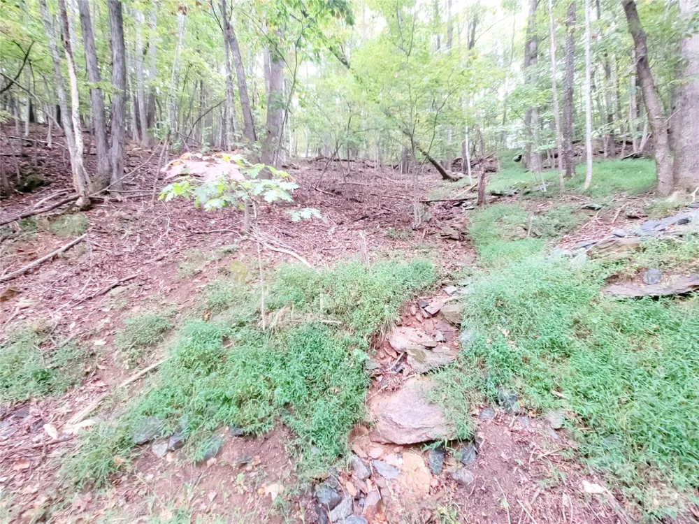 47 Sourwood Drive #197 Mills River, NC 28759