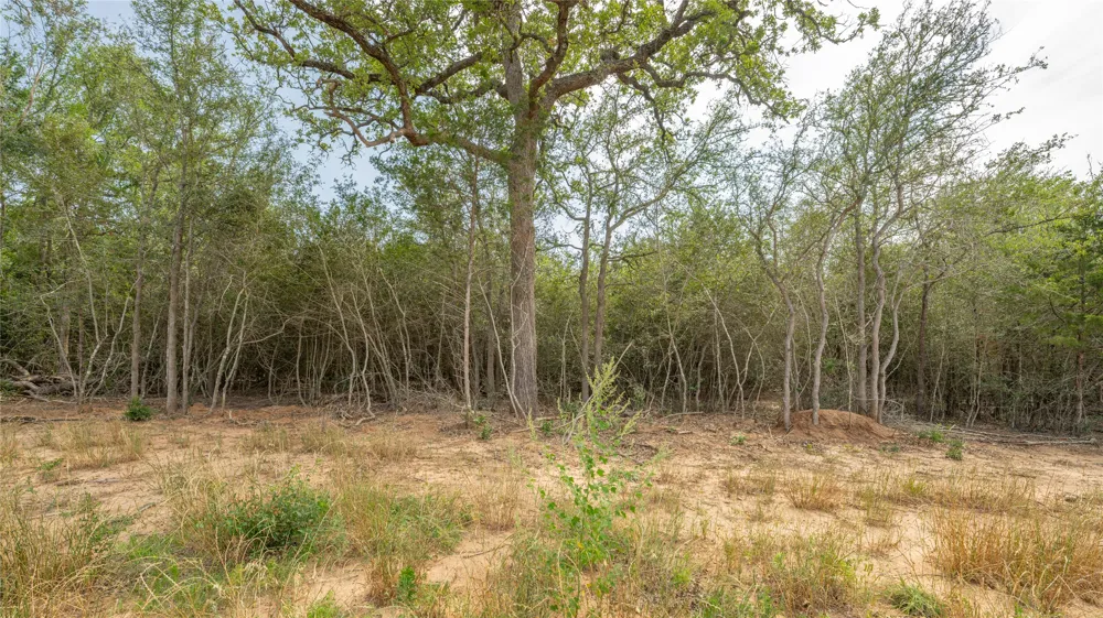 926 Ferguson Loop Dale, TX 78616