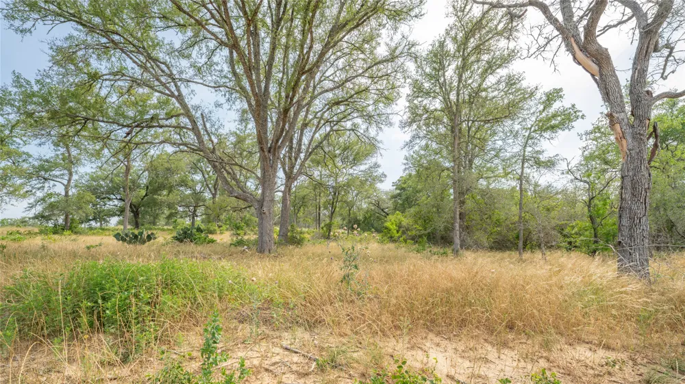 960 Ferguson Loop Dale, TX 78616