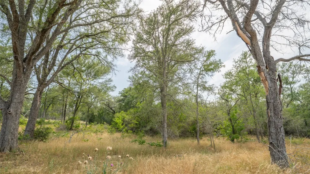 960 Ferguson Loop Dale, TX 78616