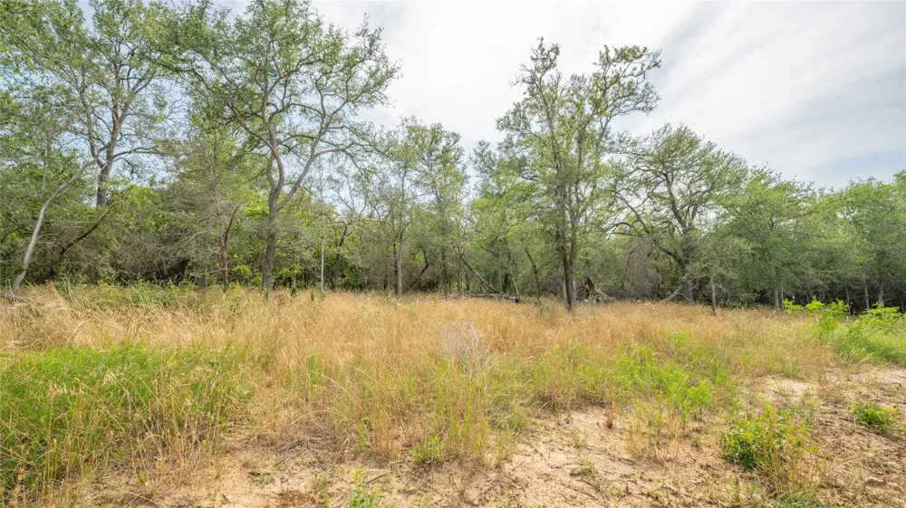 960 Ferguson Loop Dale, TX 78616