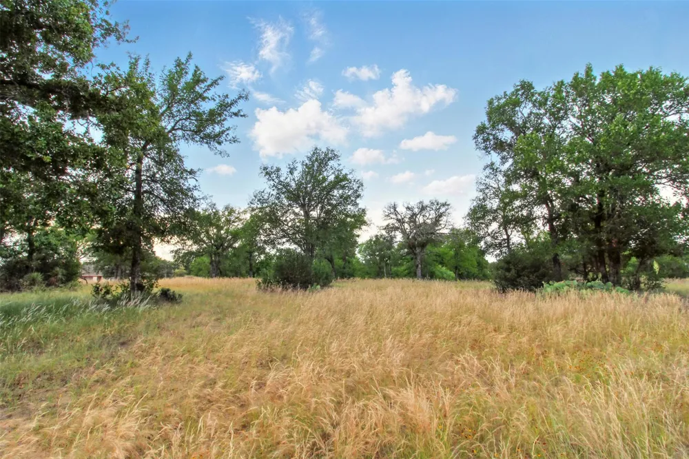 205 Skyline Drive Kingsland, TX 78639