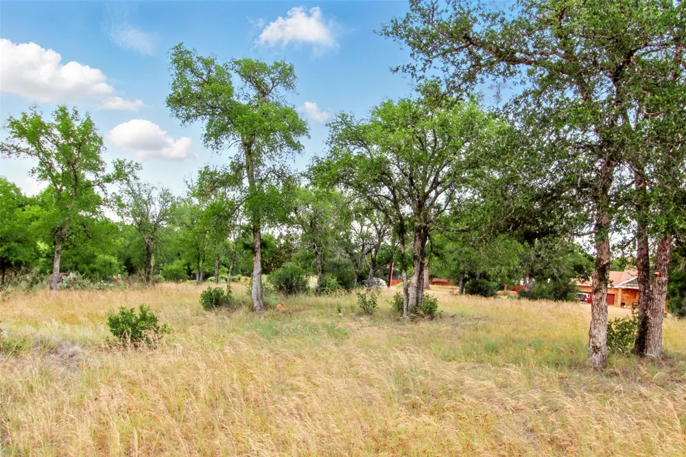 205 Skyline Drive Kingsland, TX 78639