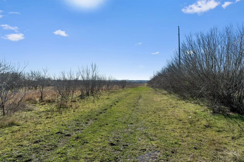 Rolling Ridge Road Lockhart, TX 78644