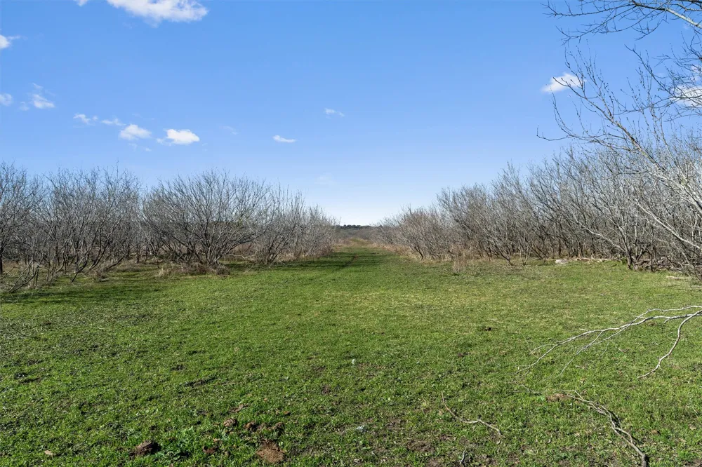 Rolling Ridge Road Lockhart, TX 78644