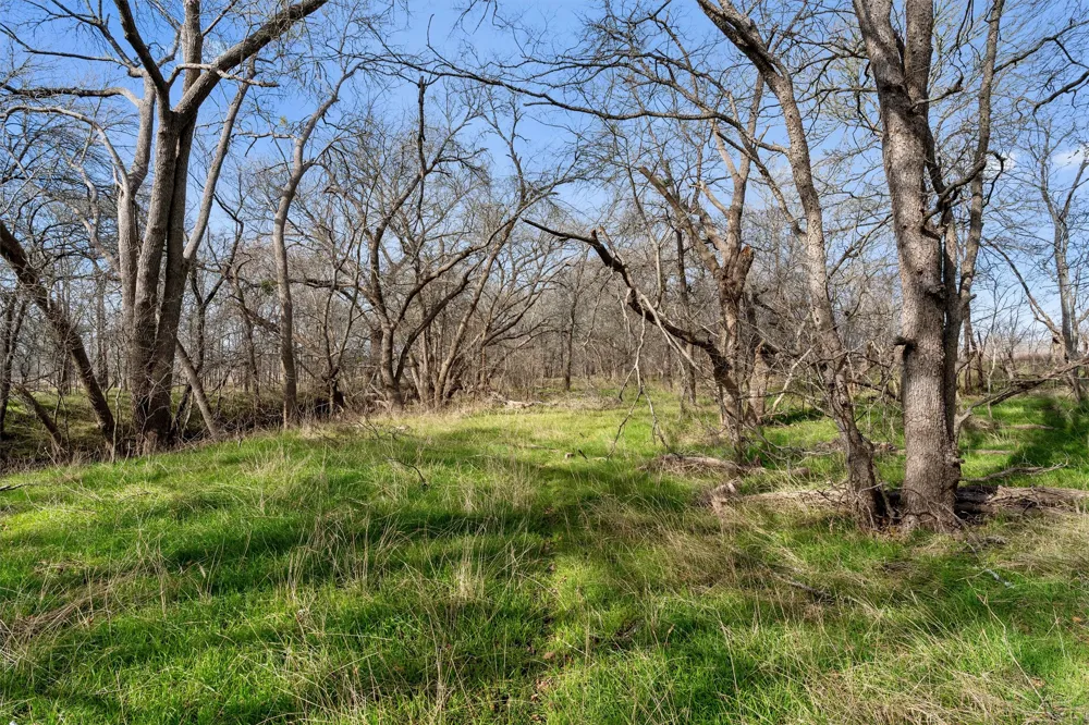 Rolling Ridge Road Lockhart, TX 78644