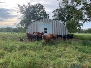 10496 County Road 321 Sweeny, TX 77480