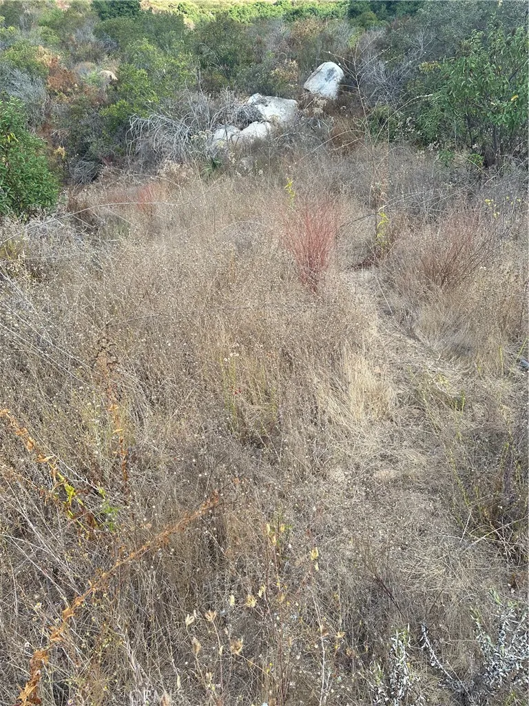 Vuelta Grande Road Temecula, CA 92590