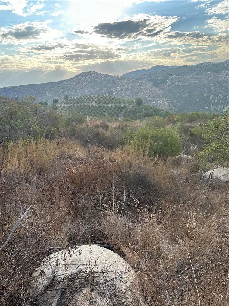Vuelta Grande Road Temecula, CA 92590