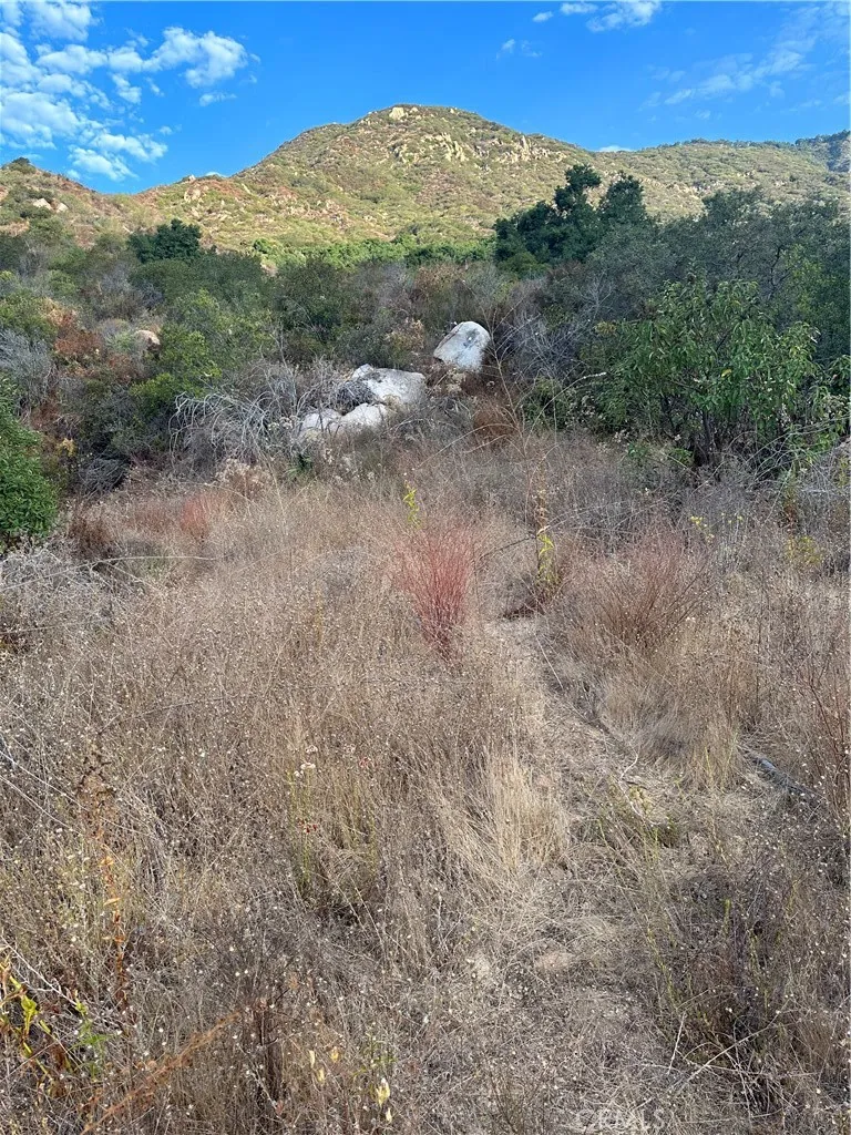 Vuelta Grande Road Temecula, CA 92590