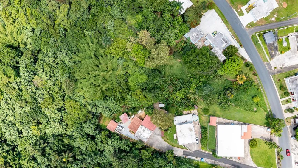 Cuchillas Ward STATE ROAD 618 KM1.6 Morovis, PR 00687