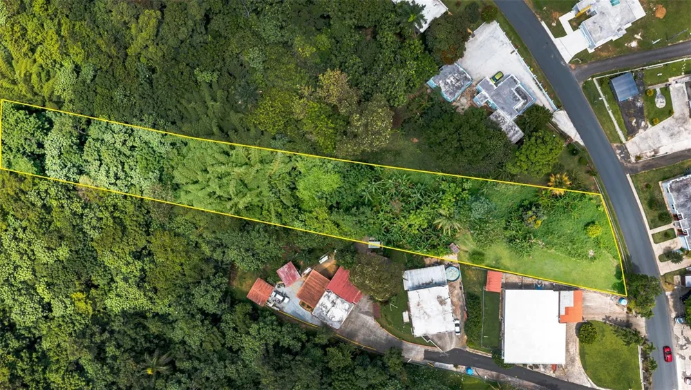 Cuchillas Ward STATE ROAD 618 KM1.6 Morovis, PR 00687