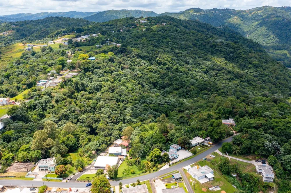 Cuchillas Ward STATE ROAD 618 KM1.6 Morovis, PR 00687