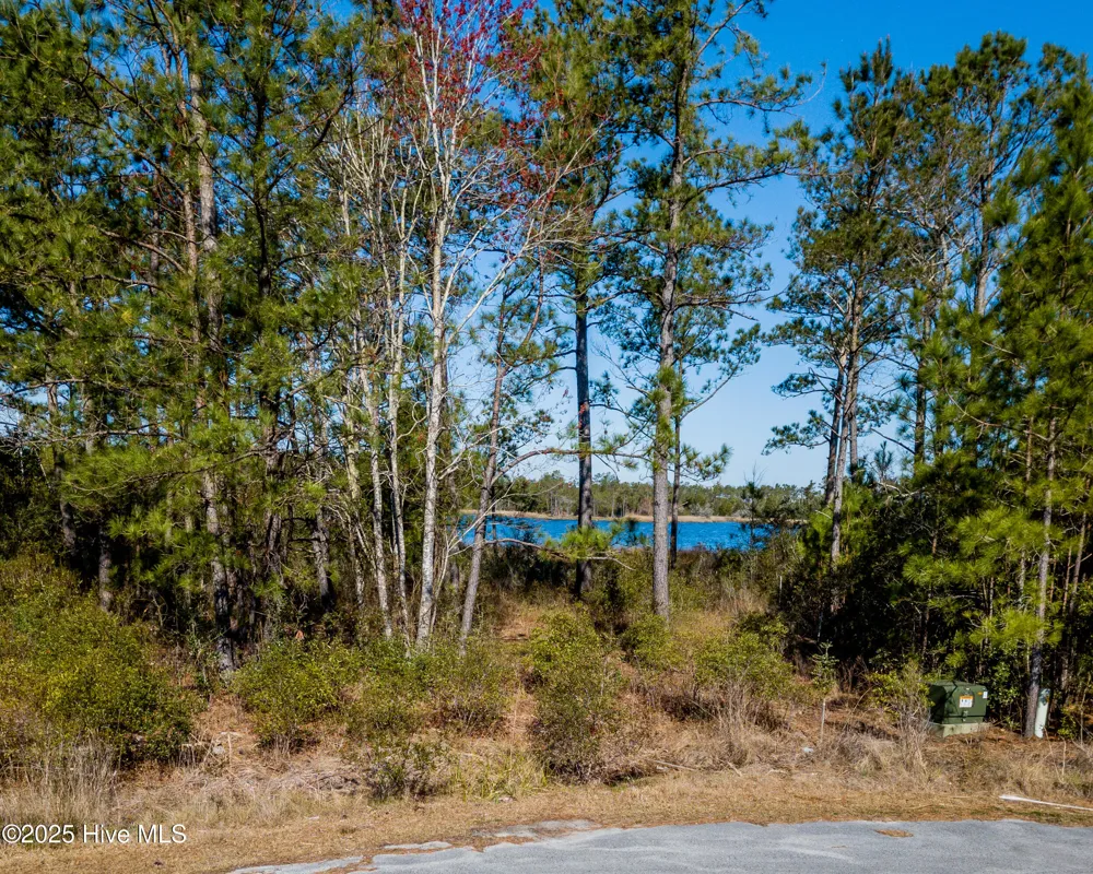 859 Winchester Way Merritt, NC 28556