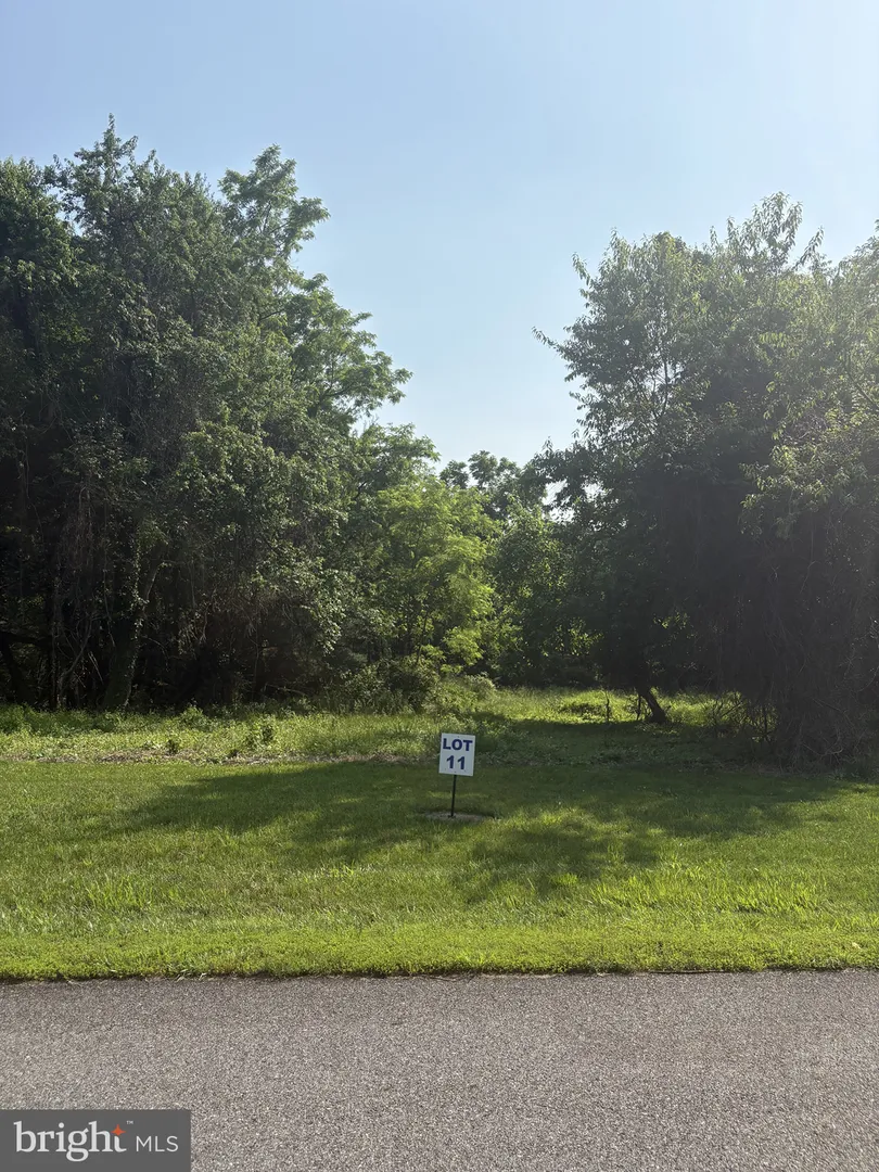11 WILSON POINT ROAD Galena, MD 21635