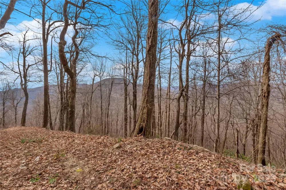 154 High Cliffs Trail #Lot 12A Black Mountain, NC 28711