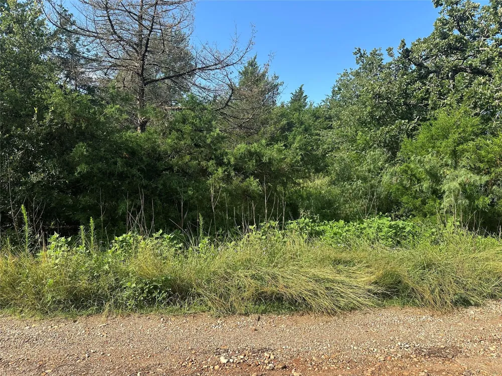 600 Blueberry Hill Road Somerville, TX 77879