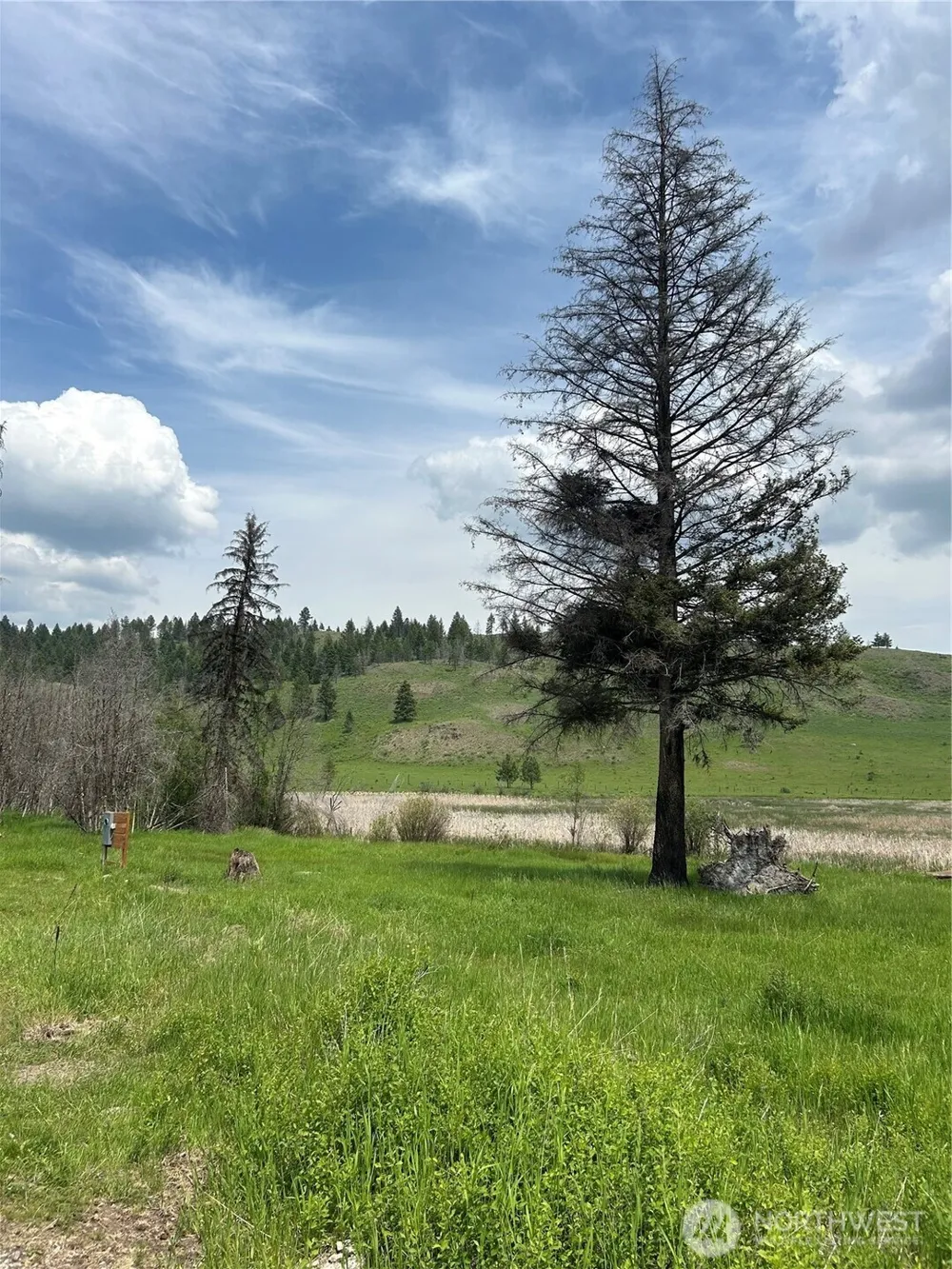 190 Bunch Road Wauconda, WA 98859