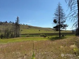 190 Bunch Road Wauconda, WA 98859